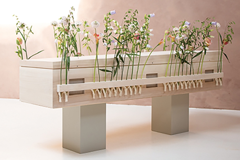 Fiori kist - massief populieren